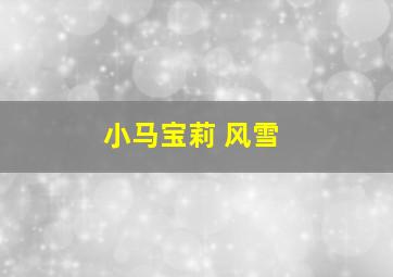 小马宝莉 风雪